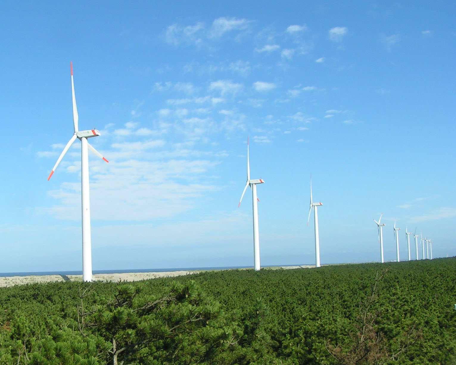 風力発電